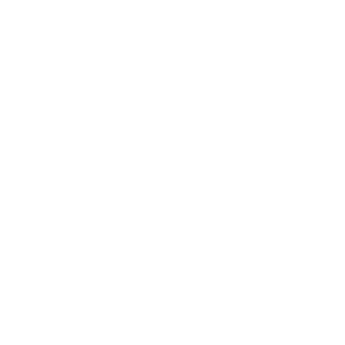 Network
